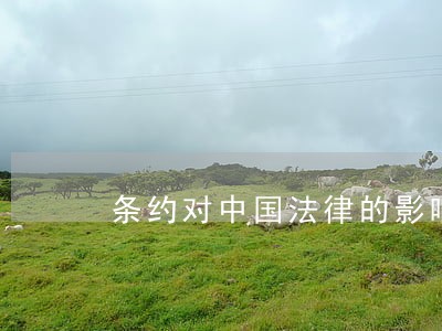 条约对中国法律的影响