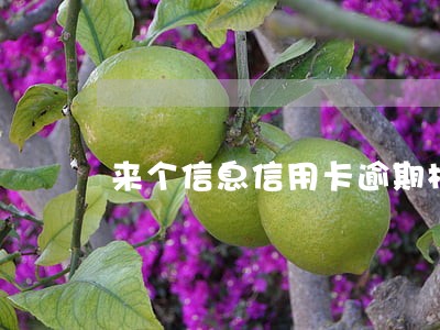 来个信息信用卡逾期构成犯罪 来个信息信用卡逾期构成犯罪