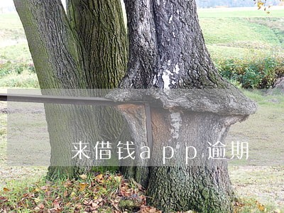 来借钱app逾期 来借钱app逾期
