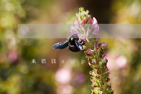 来借钱app逾期一年 来借钱app逾期一年