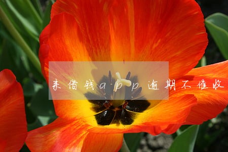 来借钱app逾期不催收 来借钱app逾期不催收
