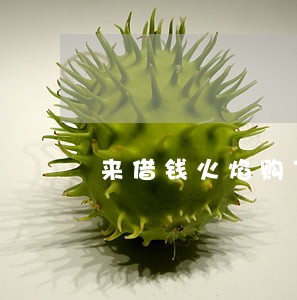 来借钱火焰购下了逾期几十个了 来借钱火焰购下了逾期几十个了