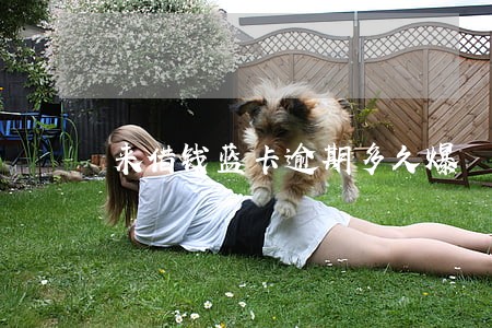 来借钱蓝卡逾期多久爆 来借钱蓝卡逾期多久爆