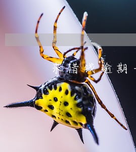 来借钱逾期一天被套路 来借钱逾期一天被套路
