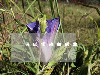 来借钱逾期后果 来借钱逾期后果