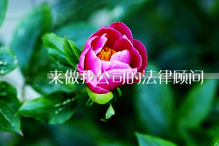 来做我公司的法律顾问 来做我公司的法律顾问