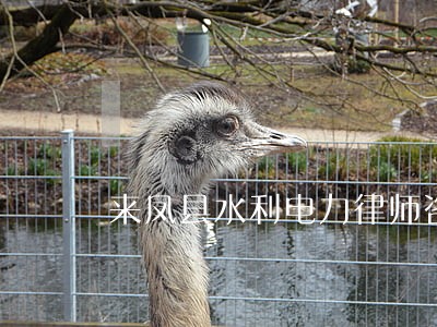 来凤县水利电力律师咨询电话 来凤县水利电力律师咨询电话