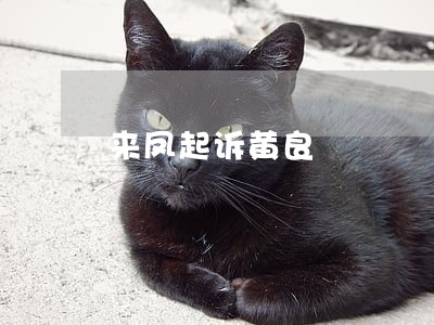 来凤起诉黄良