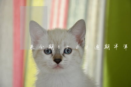 来分期3500逾期半年 来分期3500逾期半年