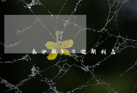 来分期3万逾期利息 来分期3万逾期利息