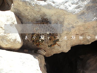 来分期4万逾期能协商利息全免吗 来分期4万逾期能协商利息全免吗