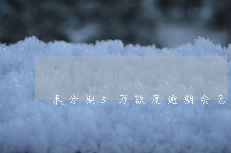 来分期5万额度逾期会怎么样 来分期5万额度逾期会怎么样