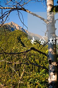 来分期6000逾期两年会告吗 来分期6000逾期两年会告吗