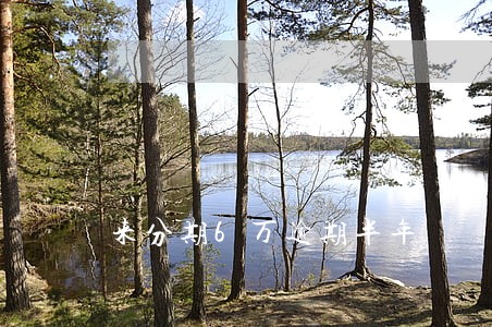 来分期6万逾期半年 来分期6万逾期半年