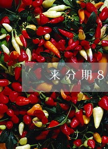 来分期8000多逾期会上门吗 来分期8000多逾期会上门吗
