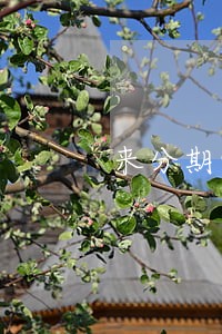 来分期9月份逾期 来分期9月份逾期