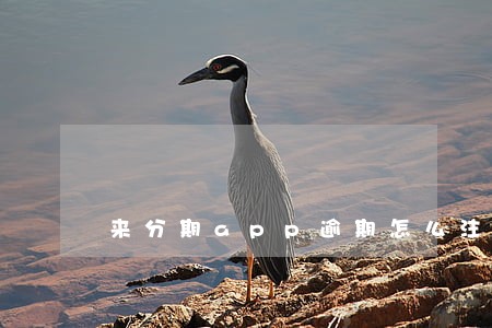 来分期app逾期怎么注销 来分期app逾期怎么注销