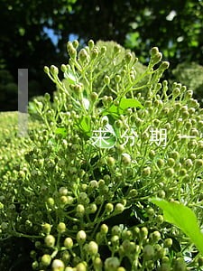 来分期一万逾期 来分期一万逾期
