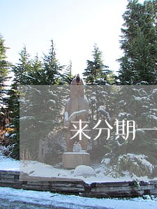 来分期一万逾期一个月 来分期一万逾期一个月