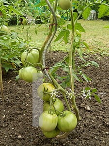 来分期一万逾期法务部
