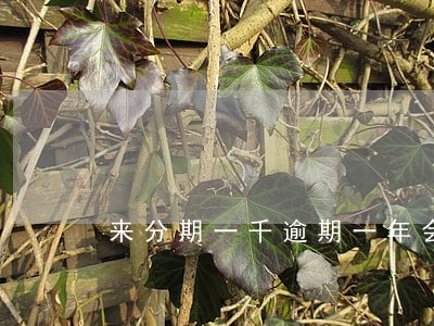 来分期一千逾期一年会怎么样 来分期一千逾期一年会怎么样