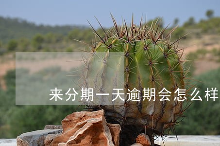 来分期一天逾期会怎么样 来分期一天逾期会怎么样