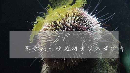 来分期一般逾期多少天被投诉 来分期一般逾期多少天被投诉