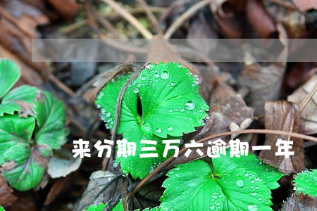 来分期三万六逾期一年 来分期三万六逾期一年