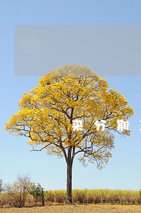 来分期三万多逾期半年 来分期三万多逾期半年