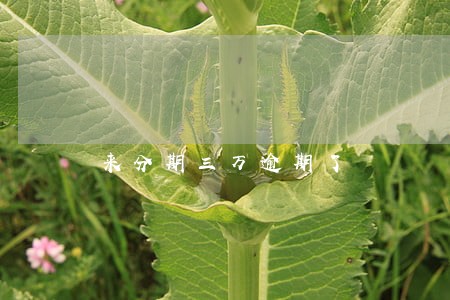 来分期三万逾期了 来分期三万逾期了