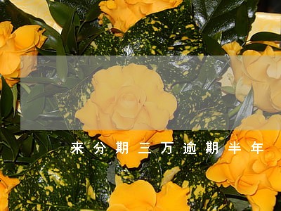 来分期三万逾期半年 来分期三万逾期半年