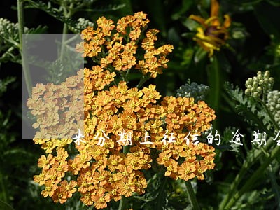 来分期上征信的逾期会影响信用卡 来分期上征信的逾期会影响信用卡
