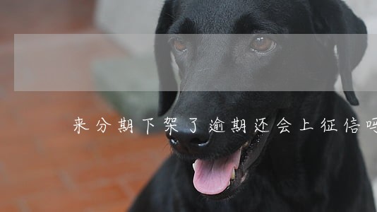 来分期下架了逾期还会上征信吗