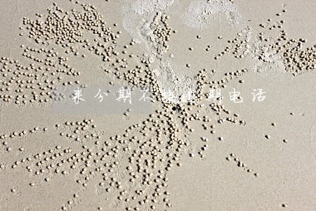 来分期不接逾期电话