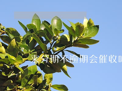 来分期不逾期会催收吗 来分期不逾期会催收吗
