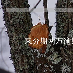 来分期两万逾期六个月