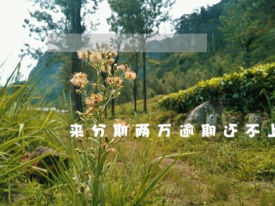 来分期两万逾期还不上能判几年 来分期两万逾期还不上能判几年