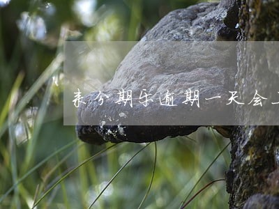 来分期乐逾期一天会上征信吗