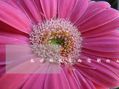 来分期买东西逾期会上征信么 来分期买东西逾期会上征信么