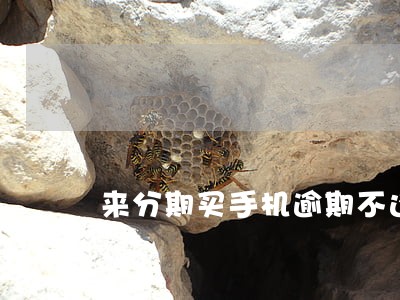 来分期买手机逾期不还