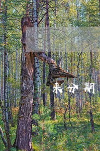 来分期二千多逾期两年 来分期二千多逾期两年