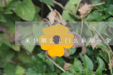 来分期会上门么逾期一个多月 来分期会上门么逾期一个多月