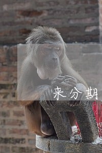 来分期会关闭逾期还款通道 来分期会关闭逾期还款通道