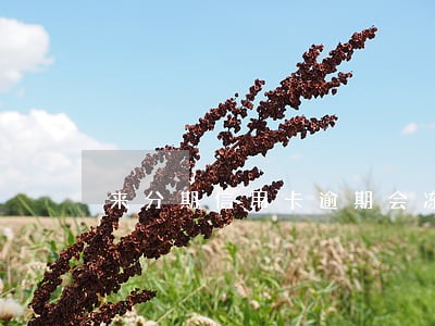 来分期信用卡逾期会冻结卡吗 来分期信用卡逾期会冻结卡吗