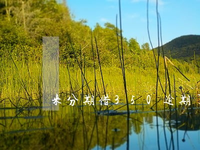 来分期借350逾期了没事吧 来分期借350逾期了没事吧