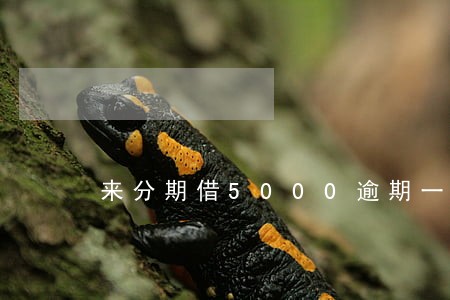 来分期借5000逾期一年 来分期借5000逾期一年