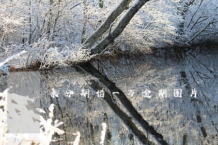 来分期借一万逾期图片