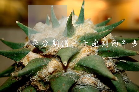 来分期借一千逾期两年多了 来分期借一千逾期两年多了