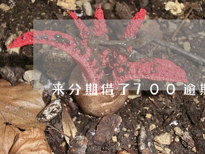 来分期借了700逾期9天 来分期借了700逾期9天