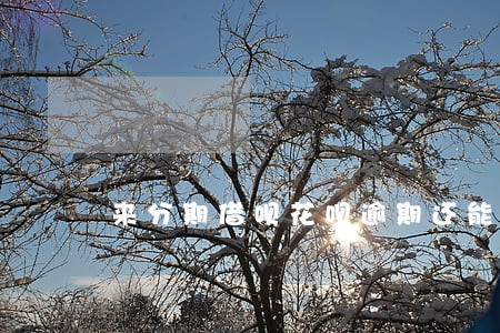来分期借呗花呗逾期还能借款吗 来分期借呗花呗逾期还能借款吗